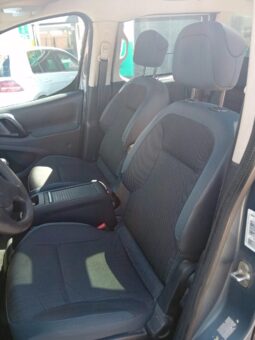 
PEUGEOT PARTNER TEPEE full									